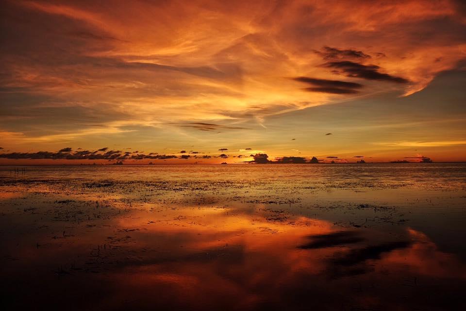 Birdland Beach Club Bolinao Buitenkant foto